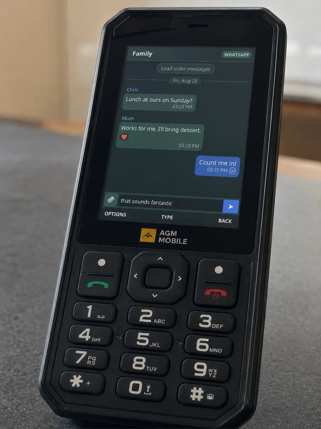 A WhatsApp group conversation in DumbTalk